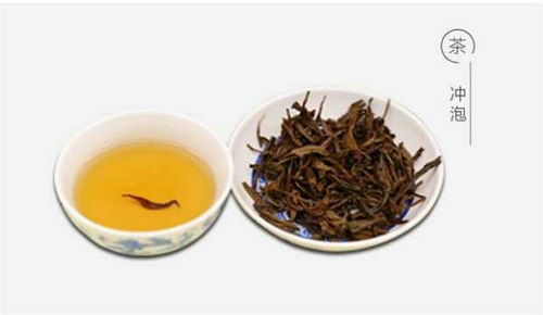 海南白沙茶 白沙特產(chǎn)天香巖小種紅茶100克