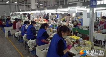 高質(zhì)量推動快發(fā)展 邵陽洞口經(jīng)濟(jì)開發(fā)區(qū)實現(xiàn)高效推進(jìn)