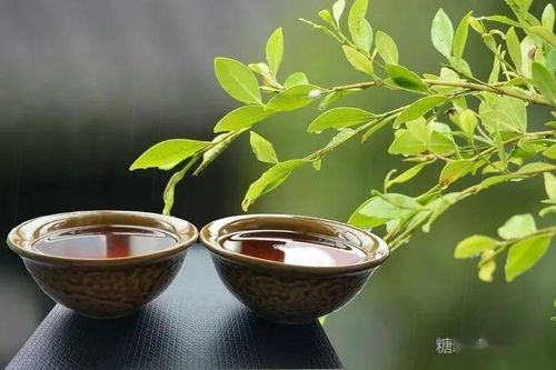 江城這方的茶,我是如暗戀般地喜歡,你呢